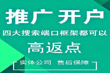 百度推广运营案例精选：揭秘成功之道